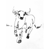 Bull drawing