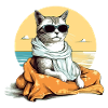 Jouk le chat pacha