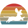 Dachshund Retro Dachshund Pet