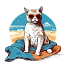Liko the Pasha Cat