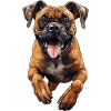 Boxer im Sprung Polygon Design
