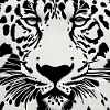 Snow Leopard Face Art