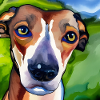 Whippet Watercolour Portrait