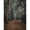 Natureprint
