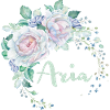 Pour Aria