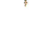 Aborigines