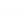 Orque Whale Dicton