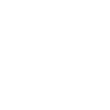 Boxing Boxer Wheelchair