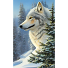 Wolf | Predator | Dog | Mystical