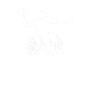 Dodgeball Wheelchair