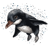 Penguin Baby Bird Chick