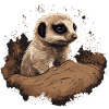 Suricate Bébé Mangouste Afrique