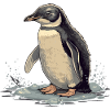 Penguin Baby Bird Chick