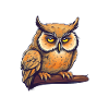 Nachteule Eule Eulen Vogel
