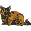 Schildpatt Katze Tortoiseshell Cat Tortie