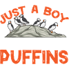puffin puffin auke birds Lunde