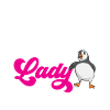 puffin puffin auke birds Lunde