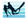 Spearfishing Dive Fischjagd Speerfischer