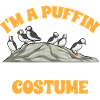 puffin puffin auke birds Lunde