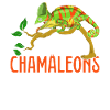 Chamäleon