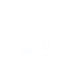 Schwan