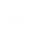 Schwan