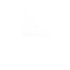 Schwan