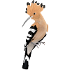 Hoopoe Upupa epops