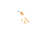 Bon toutou wouaf