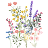 Summer meadow