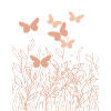 Summer meadow