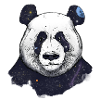 Weltraum-Panda