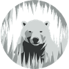 Ours blanc