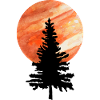 Pine tree and moon
