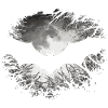 Bat