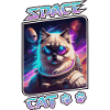 Space cat - sacred of Burma