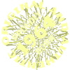 Année 1964