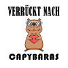 Capybara Wasserschwein Geschenk