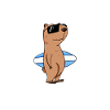 Capybara Capybara Cadeau