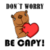 Capybara Capybara Cadeau