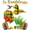 Guadeloupe Madras Et Rhum