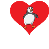 puffin puffin auke birds Lunde