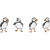 puffin puffin auke birds Lunde
