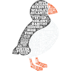 puffin puffin auke birds Lunde