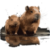 Capybaras Capybaras Capybara