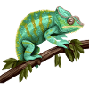 Chameleon Branch Reptiles