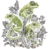 Chameleons Branch Reptiles Chameleon