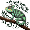 Chameleon Branch Reptiles