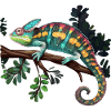 Chameleon Branch Reptiles