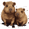 Capybaras capybara